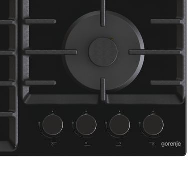 Gorenje GTW642SYB GTW642SYB фото