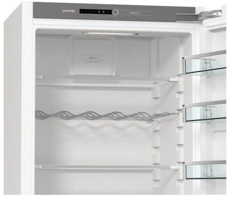 Холодильник Gorenje RI518EA1 (6990156) 742197 фото