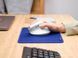 Миша Trust Bayo II Ergonomic, WL, білий (393948) 25398_TRUST