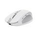 Trust Мышь OZZA compact, BT/WL/USB-A, белый 24933_TRUST