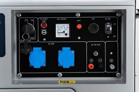 Дизельный генератор TAGRED TA7350DS TA7350DS фото