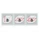 Нивелир лазерный линейный Bosch PLL 360 Set 0603663001