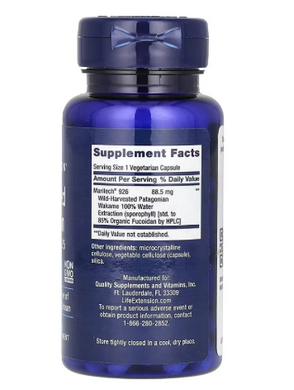 Optimized Fucoidan with Maritech&reg; 926 - 60 vcaps