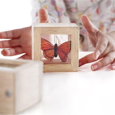 Набор Guidecraft Natural Play Сокровища в прозрачных ящиках (G3084) dt_2248 фото