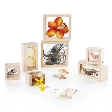 Набор Guidecraft Natural Play Сокровища в прозрачных ящиках (G3084) dt_2248 фото