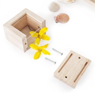 Набор Guidecraft Natural Play Сокровища в прозрачных ящиках (G3084) dt_2248 фото