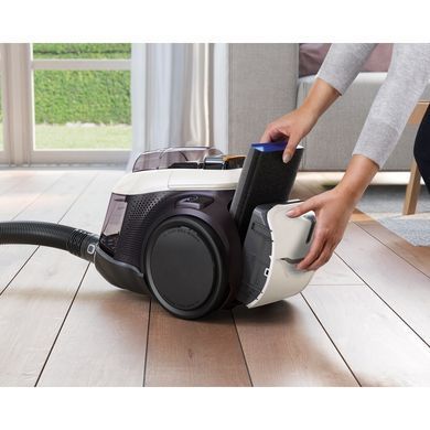 Electrolux Пилосос контейнерний, 650Вт, конт пил -1.6л, PureAdvantage D11, 4 насадки, білий (345266) PC91-ALRG фото