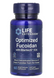 Optimized Fucoidan with Maritech&reg; 926 - 60 vcaps