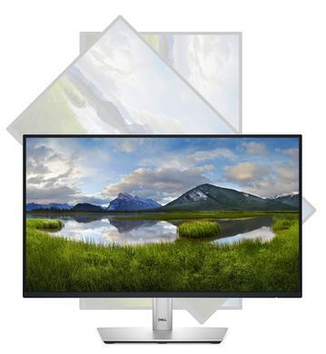 Dell Монитор 21.5" P2225H D-Sub, HDMI, DP, USB3.2, IPS, 100Hz, sRGB 99%, Pivot 210-BMHD фото