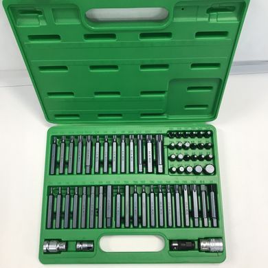 Профессиональный набор бит TORX, HEX, SPLINE, RIBE, SQ 60ед. TOPTUL GCAI6003