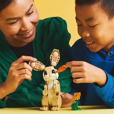 Конструктор LEGO Creator Волшебный кролик 326 деталей (31162)