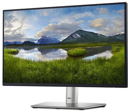 Dell Монитор 21.5" P2225H D-Sub, HDMI, DP, USB3.2, IPS, 100Hz, sRGB 99%, Pivot 210-BMHD фото