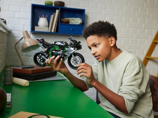 Конструктор LEGO Technic Мотоцикл Kawasaki Ninja H2R (374965)