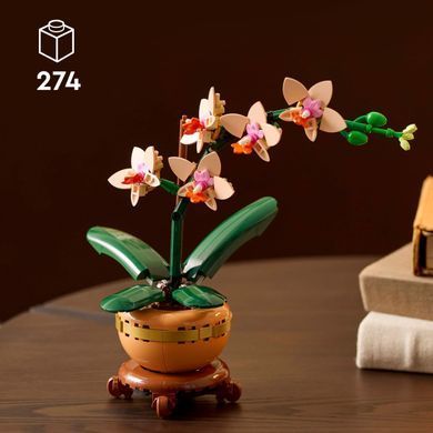 Конструктор LEGO Botanicals Мини орхидея