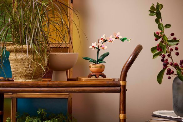 Конструктор LEGO Botanicals Мини орхидея