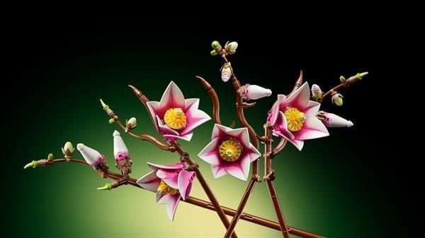 Конструктор LEGO&reg; Botanicals Ветки магнолии 435 деталей (11510) dt_186723 фото
