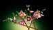 Конструктор LEGO&reg; Botanicals Ветки магнолии 435 деталей (11510) dt_186723