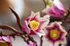Конструктор LEGO&reg; Botanicals Ветки магнолии 435 деталей (11510) dt_186723