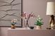 Конструктор LEGO&reg; Botanicals Ветки магнолии 435 деталей (11510) dt_186723