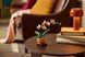 Конструктор LEGO Botanicals Мини орхидея