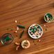 Конструктор LEGO Botanicals Мини орхидея