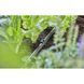 Кілочки GARDENA для фіксації шланга 13 мм, 10 шт. 13208-20.000.00