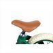 Біговел Hape Навчись кататися двоколісний 12" зелений (E1090), Зелений