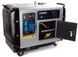 Дизельний генератор TAGRED TA10300DS TA10300DS