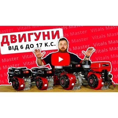 Двигун бензиновий Vitals GE 17.0-25ke