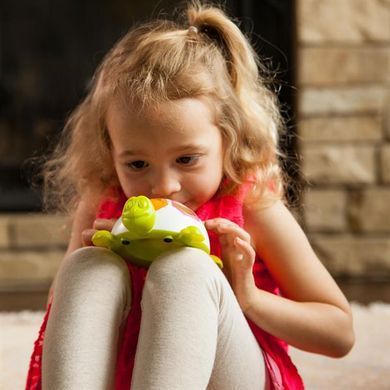 Сортер-черепашка Шеллі Fat Brain Toys Pop N Slide Shelly (F123ML) dt_13624 фото