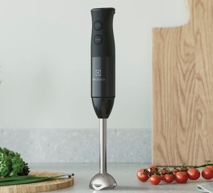 Блендер ручной Electrolux E4HB1-6GG (353557) E4HB1-6GG фото