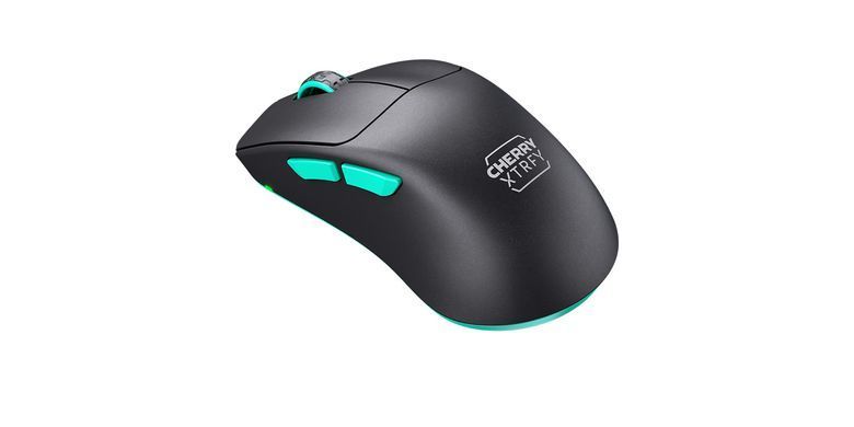 Cherry Xtrfy Миша M64, WL/USB-A, RGB, чорний (384319) CX-M64W-BLACK фото