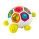 Сортер-черепашка Шеллі Fat Brain Toys Pop N Slide Shelly (F123ML) dt_13624