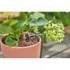 Комплект для поливу Gardena Micro-Drip-System Balcony Set на 15 рослин 13401-20.000.00
