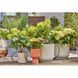 Комплект для поливу Gardena Micro-Drip-System Balcony Set на 15 рослин 13401-20.000.00