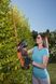 Кущоріз акумуляторний BLACK+DECKER BCHTS3625L1 BCHTS3625L1