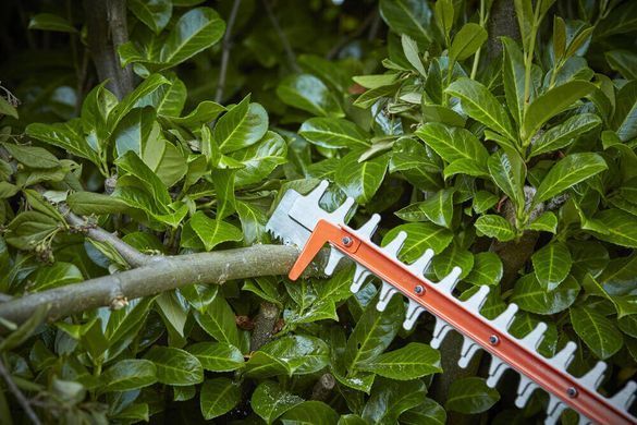 Кущоріз акумуляторний BLACK+DECKER BCHTS3625L1 BCHTS3625L1 фото