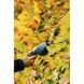 Кушриз-таллы из Gardena Classiccut перезаряжается 09885-20.000.00