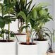 Комплект для полива домашних растений Gardena 01266-20.000