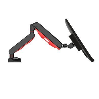 кронштейн для РК монітора геймерський IIYAMA DSG3001C-R1 3698282 фото