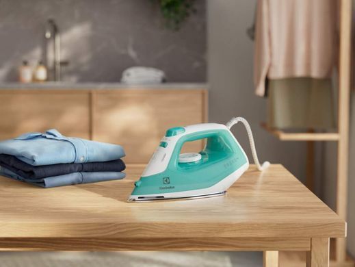 Electrolux Праска, 2200Вт, 250мл, паровий удар 90гр, нерж. сталь, зелено-білий (375424) E5SI2-2AM фото