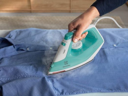 Electrolux Праска, 2200Вт, 250мл, паровий удар 90гр, нерж. сталь, зелено-білий (375424) E5SI2-2AM фото