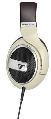 Наушники Sennheiser HD 599 (6313904) 506831 фото