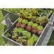 Комплект для поливу Gardena Micro-Drip-System Raised Bed Set для високих грядок на 35 рослин 13455-20.000.00