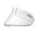 Trust Мышь Verto Ergonomic, WL, Белый 25132_TRUST