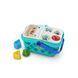 Сортер Baby Einstein Корзина с покупками со звуком (800913) dt_84569